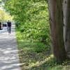 Baum-Radtour in Potsdam: Aktion anlässlich des „Happy Tree Days“