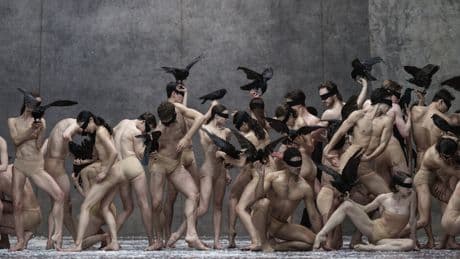 Ballett: Tagtraum [Online-Abo]