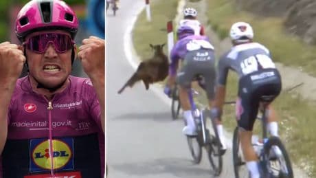 Giro, nonostante le capre volanti Pedersen vince e si riprende la maglia rosa a Valona
