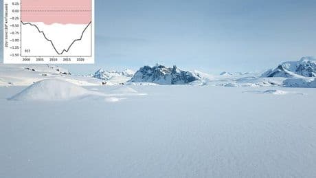 Scientists are baffled to discover a SLOWDOWN in melting of Arctic sea ice - despite global warming