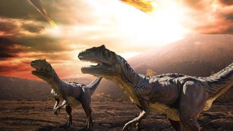 New dinosaur discovery could hold the key to human cancer treatment
