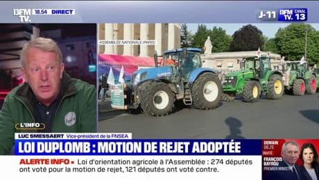 Loi Duplomb: "Faire voter une motion de rejet pour que le texte avance, on marche sur la tête", déplore Luc Smessaert (FNSEA)