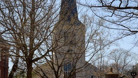 Harvard, Under Pressure, Revamps D.E.I. Office