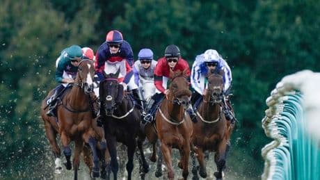 Newsboy’s horseracing tips for Monday’s four meetings, including Lingfield Nap