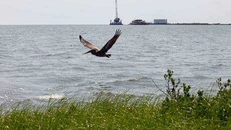 NTSB says company failed to shut down oil pipeline for nearly 13 hours after pressure dropped