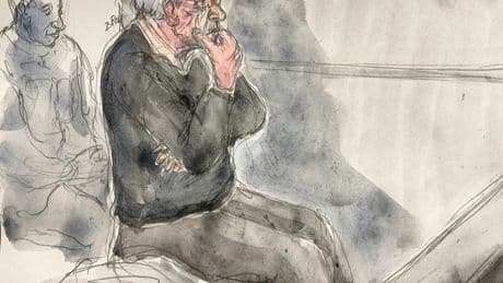 Prozess um 299 Missbrauchsfälle in Frankreich: Arzt will "keine Milde"