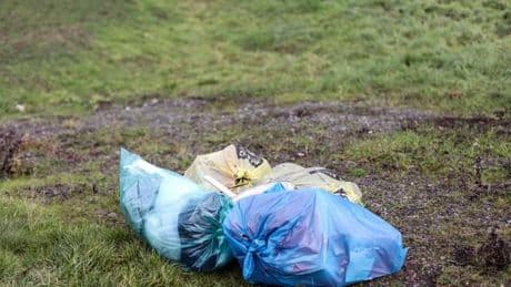 Großer Aufwand und Kosten: Kommunaler Spitzenverband: Mehr Hilfe gegen illegalen Müll