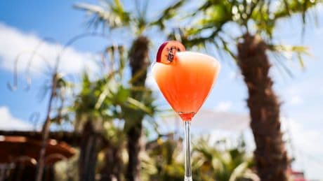 Gesellschaft: Sind das die Sommertrends? Sunscreen-Lust und Pornstar-Drink
