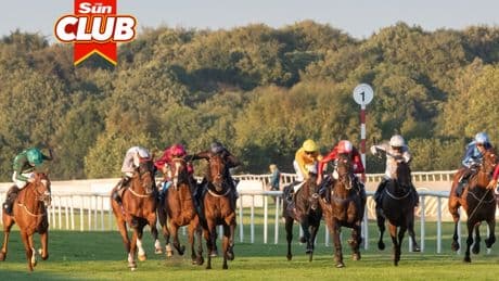 Get four FREE racing tickets every three months with Sun Club