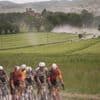 Del Toro becomes first Mexican to lead Giro d'Italia, Van Aert wins dusty stage