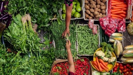 Food Safety Depends On Every Link In The Supply Chain
