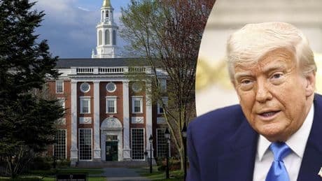 Streit mit Harvard eskaliert - Trump verbietet Aufnahme ausländischer Studenten!