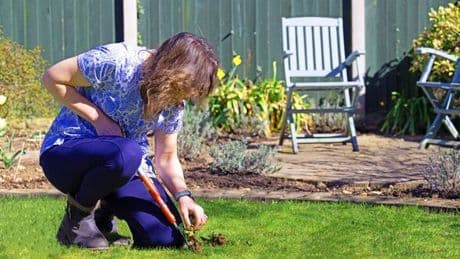 Anyone with a garden in UK told to act for massive £53,000 potential boost