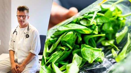 El médico, Manuel Viso, alerta sobre estas ensaladas: "Podrías estar ingiriendo el parásito de la toxoplasmosis"