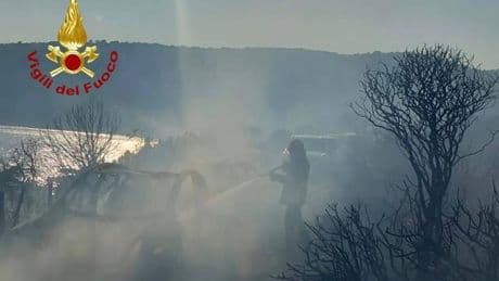 Brände: Brand auf Sardinien: Badegäste fliehen vor Feuer