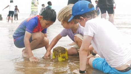 Rising costs and tight budgets mean school trips are under threat - even though some kids have never seen the sea