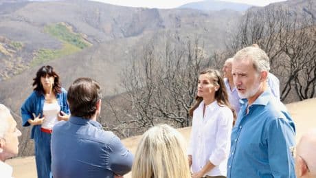 Los Reyes escuchan "desolados" a los afectados por los incendios forestales: "Los testimonios son sobrecogedores"
