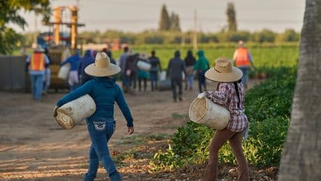 1.2M immigrants are gone from the US labor force under Trump, preliminary data shows