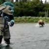 Bear chases hockey mascot during photoshoot