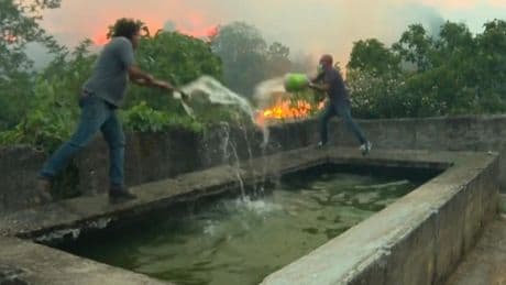 Waldbrände in vielen Regionen - Südeuropa kämpft gegen die Flammen