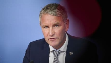 Alternativen zum Parteiverbot: AfD-Wählen erlaubt, Höcke-Wählen verboten
