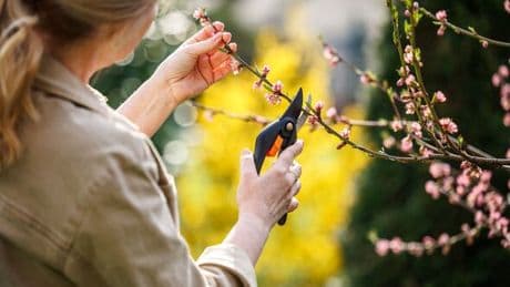 Over 40s women tackle menopause with new hobbies from gardening to dance, study reveals