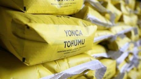 Çiftçilere yüzde 70 hibeyle mısır ve yonca tohumu dağıtıldı
