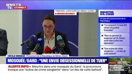 Vidéosurveillance, 57 coups de couteau... la procureure de la République de Nîmes revient sur les faits minutes par minutes