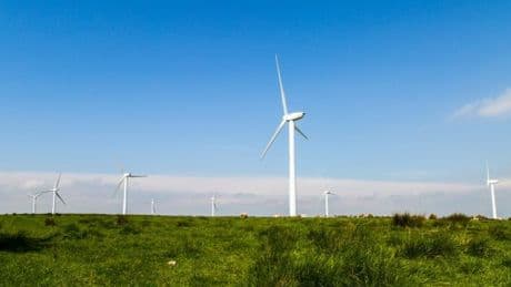 La industria eólica celebra el fallo del TJUE, que respalda la tramitación de la Xunta