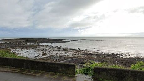 Body of man found on beach by dog walker found on beach