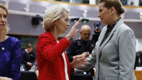 Le Danemark prend la présidence de l'UE en faisant de la sécurité du continent sa priorité