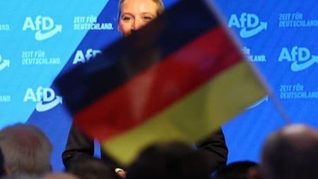 Geheimes Gutachten: Was die AfD so gefährlich macht