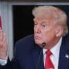Elon Musk « devrait fermer boutique et retourner chez lui en Afrique du Sud », tacle Donald Trump