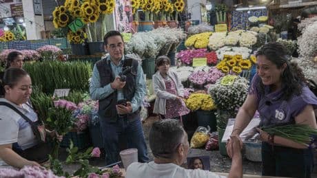 Judicial Candidates Try TikTok and Tinder in Mexico’s Sprawling Elections