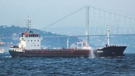 Liban : le propriétaire du bateau lié à l’explosion du port de Beyrouth arrêté en Bulgarie