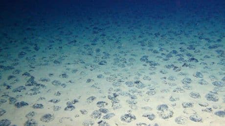 Terre rare, la corsa ai fondali oceanici può sfidare il dominio della Cina