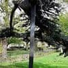 Tree that collapsed and killed girl, seven, and left another fighting for her life 'was held up by metal poles' before tragedy