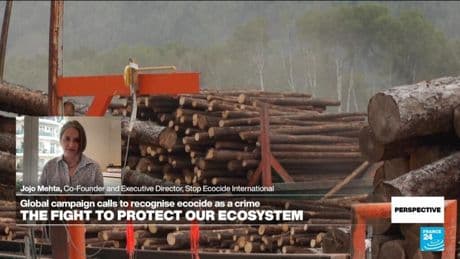 'We want to add ecocide to the list of international crimes': Head of Stop Ecocide International