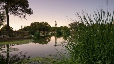 Aprender de la naturaleza para enfrentar el desafío climático