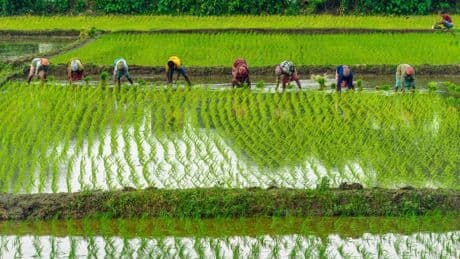 ¿Viajas a Asia este verano? Así puedes evitar problemas con los monzones
