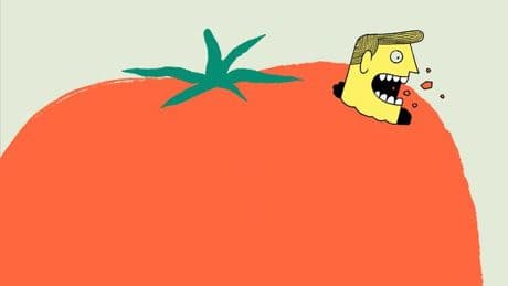 Woher kommt der Hass auf Tomaten?