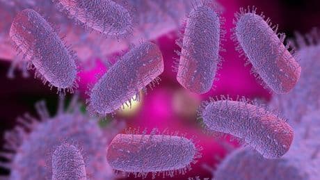 What is rabies and how is it spread? Facts and travel warnings after fatal UK case
