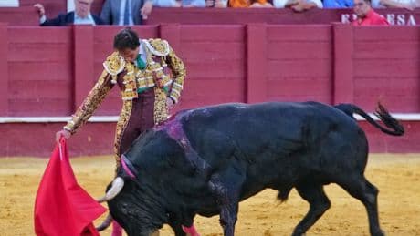 Diego Urdiales y Fortes hilvanan el hilo del toreo a golpe de pureza en Málaga