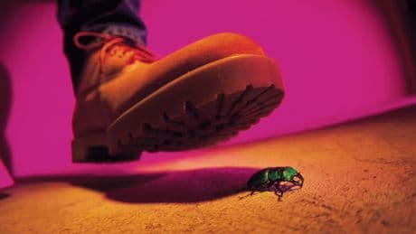 Why ChatGPT-5 Is Taking Us One Step Closer To Agency Decay