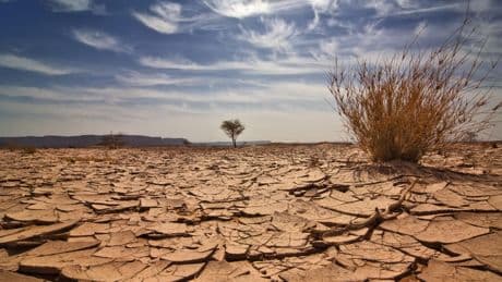 Klimawandel: Hitzewellen belasten Gesundheit und Wirtschaft drastisch