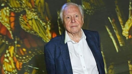 David Attenborough issues heartbreaking update after 'end of life' admission