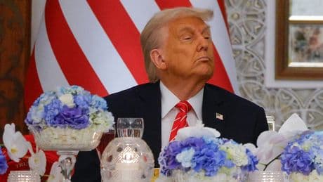 Trump has cut more than $1bn in research grants including one area he thrives - online misinformation