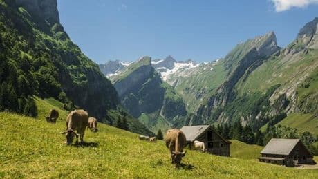 US-Zölle gegen die Schweiz: Pillen, Gold und der starke Franken