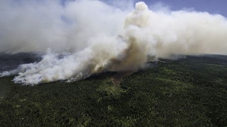 Nova Scotia wildfires: Annapolis Valley blaze surpasses 8K hectares in size