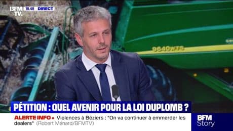 Loi Duplomb: "On souhaite à mes enfants d'avoir le cancer", affirme Loïc Kervran député Horizons